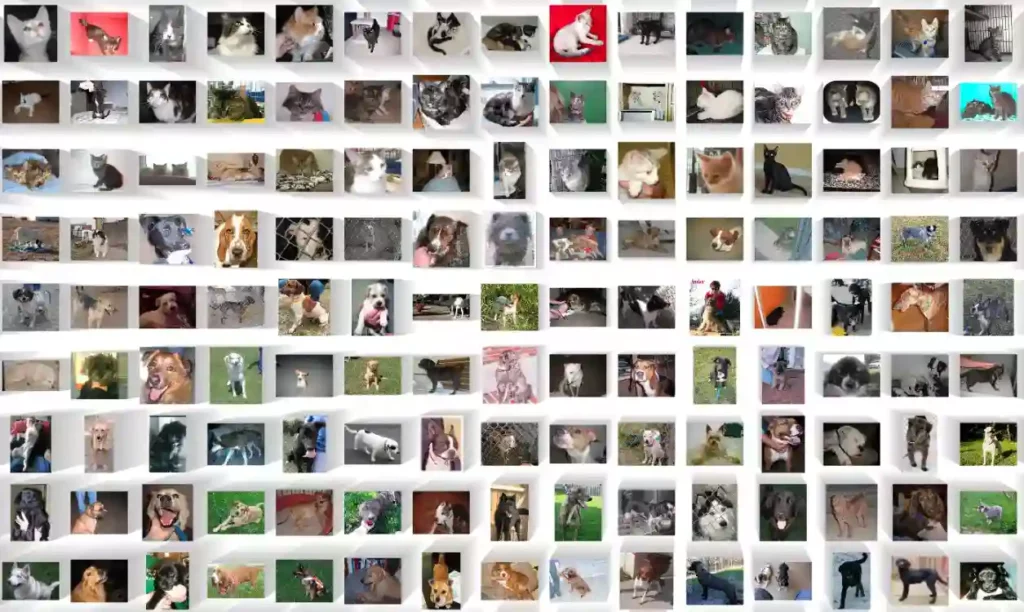 Cats and Dogs image classification